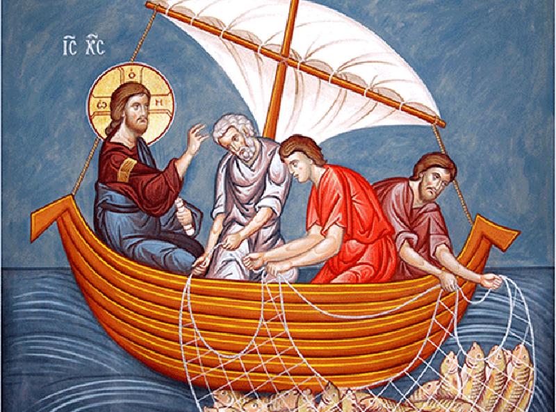 Featured image of post 5º Domingo do Tempo Comum